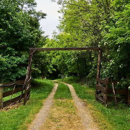 Semesterbostad Cosy Forest House